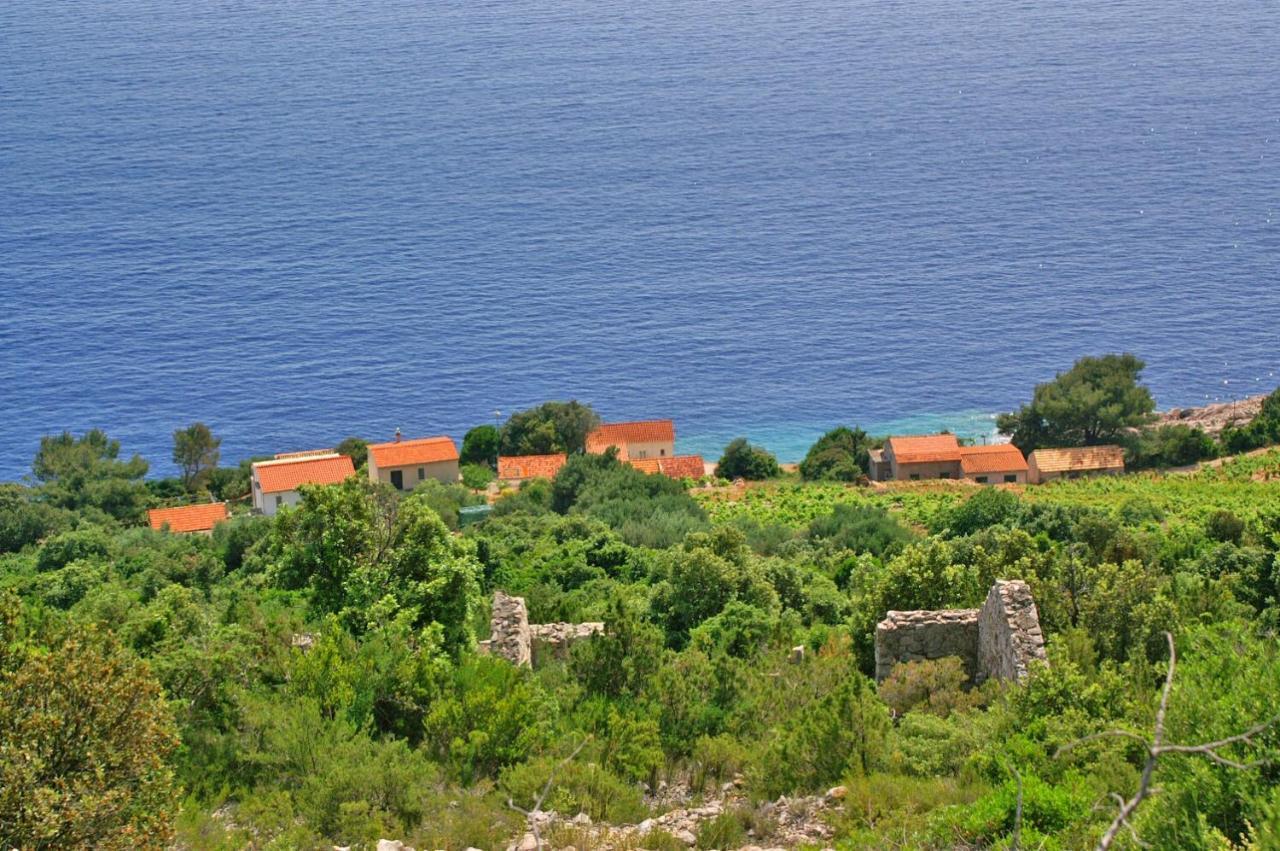 Apartments By The Sea Dingac - Potocine, Peljesac - 4533 Potomje エクステリア 写真