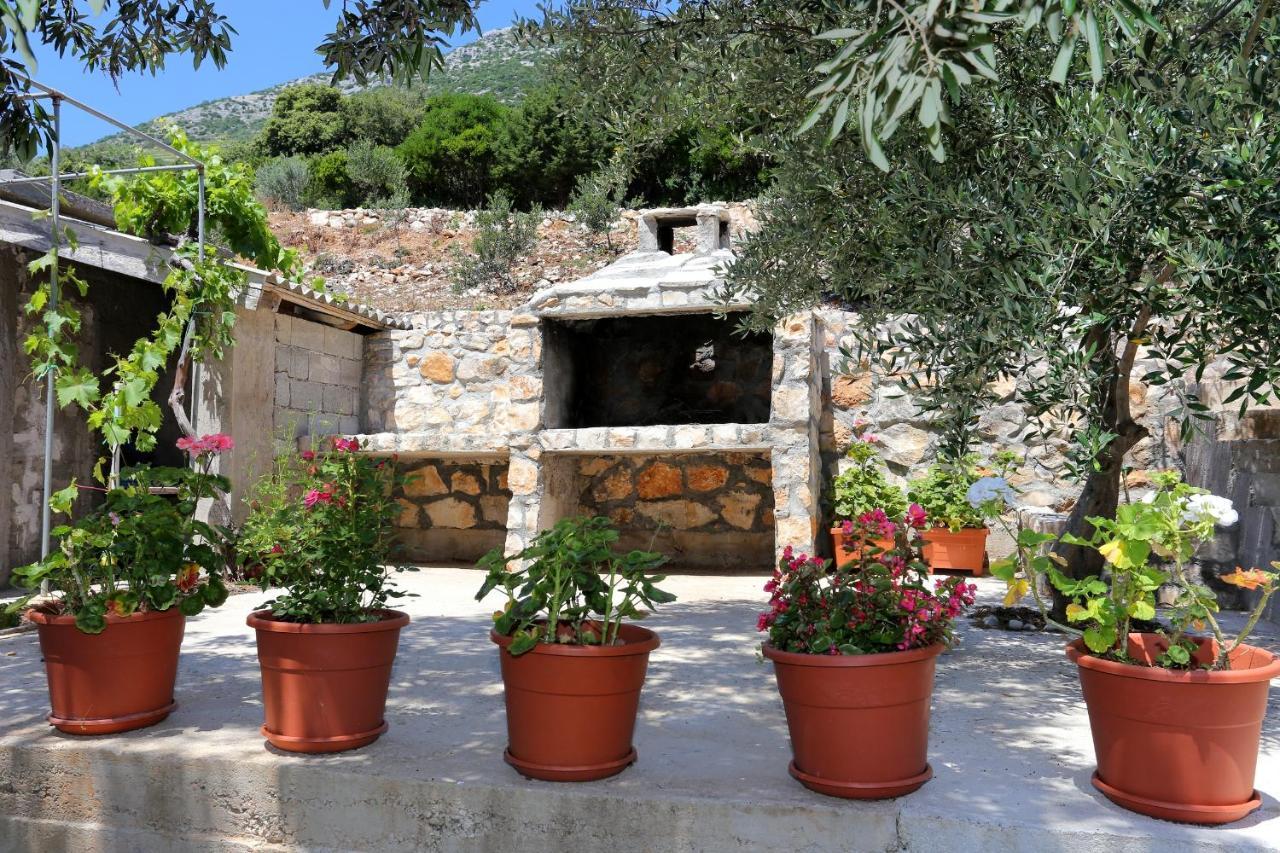 Apartments By The Sea Dingac - Potocine, Peljesac - 4533 Potomje エクステリア 写真